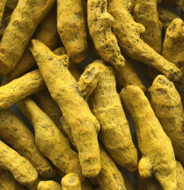 Coriander Powder
